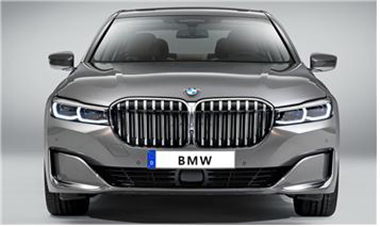 BMW 키드니 그릴(BMW Kidney Grille)