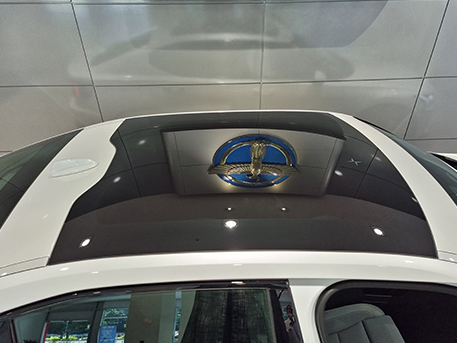 Polestar Polestar 2 전기차 폴스타 폴스타2 썬루프 루프